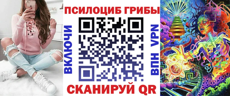 Купить где  Вязьма  Галлюциногенные грибы Cubensis 